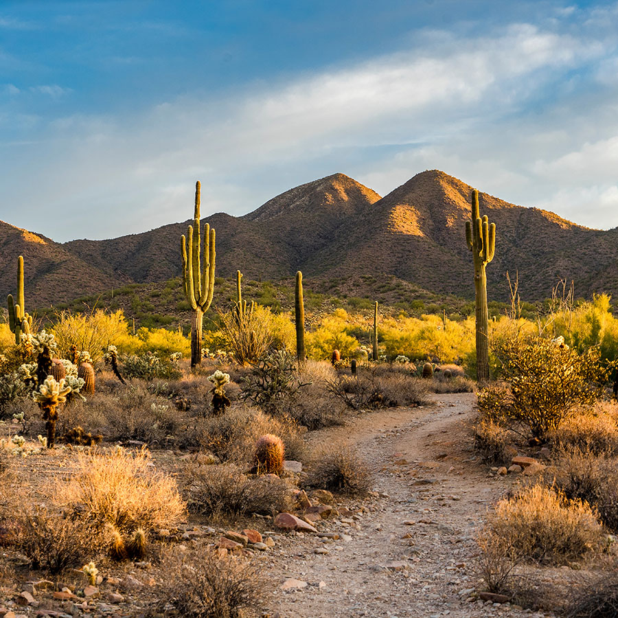 Golden Valley AZ Real Estate, Turner Hill Properties REALTOR